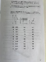 294.jpg