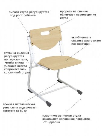 Растущий стул SF-3  (фанера береза/опоры белые) с чехлом Оазис